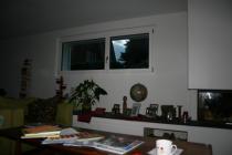 how do "dress" long and low windows in modern living room