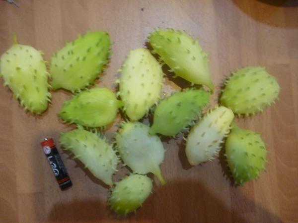 What is this fruit?
