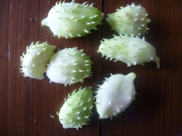 What is this fruit?