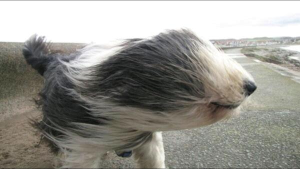 storm pictures / photos