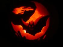 Pumpkins 2013! Post your pics here...