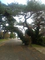 storm pictures / photos