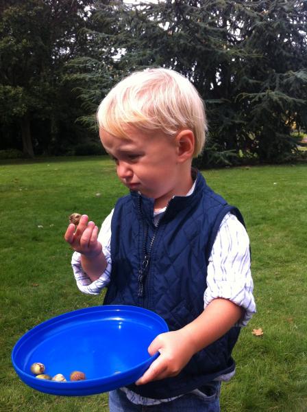 Reasons My Kid is Crying: Enter comp to win a meal for two at Heston's The Fat Duck