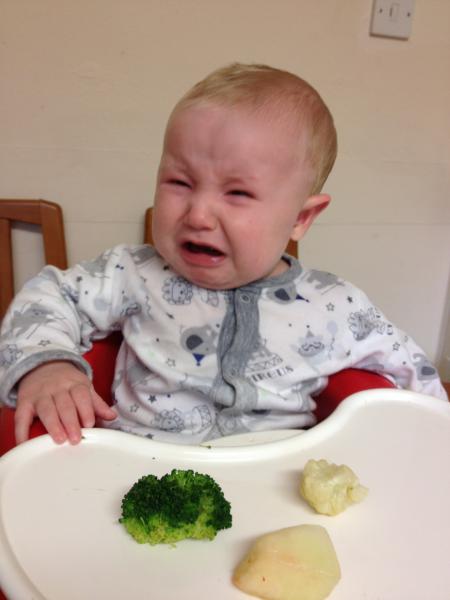 Reasons My Kid is Crying: Enter comp to win a meal for two at Heston's The Fat Duck