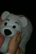 Lost polar bear teddy in Cambridge today - hysterical child