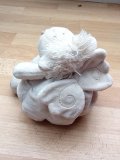 My son has lost this New Zealand sheep :( Have you seen him?