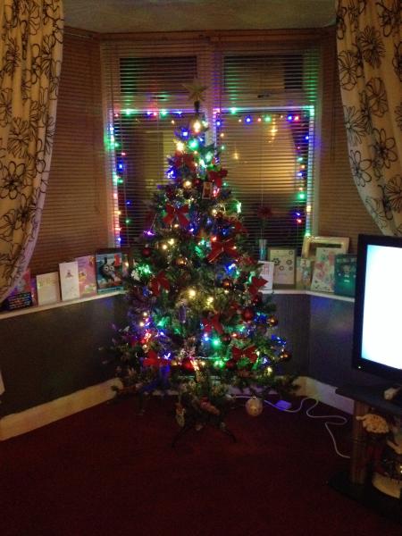 Mumsnetters Christmas trees!