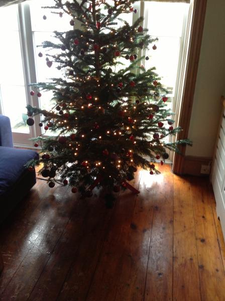 Mumsnetters Christmas trees!