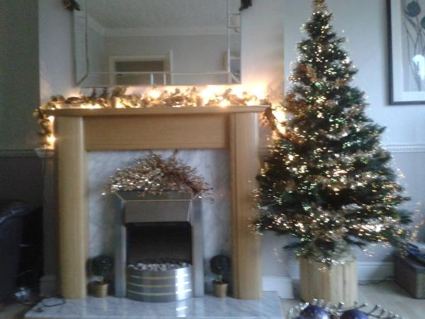 Mumsnetters Christmas trees!