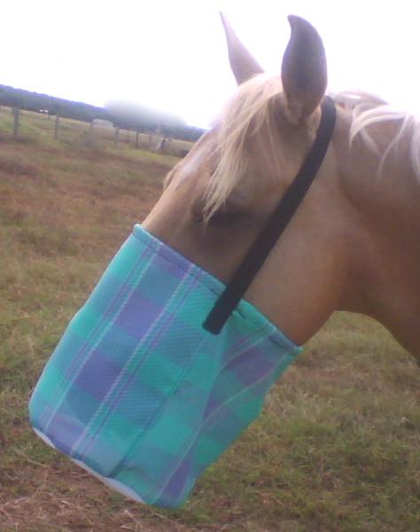 What is the most stylish and beautiful way to lose your breakfast and nearly your eyeballs in a lay-by in the rain?