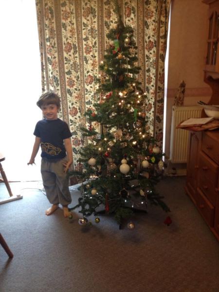 Mumsnetters Christmas trees!