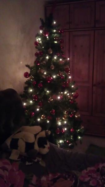 Mumsnetters Christmas trees!