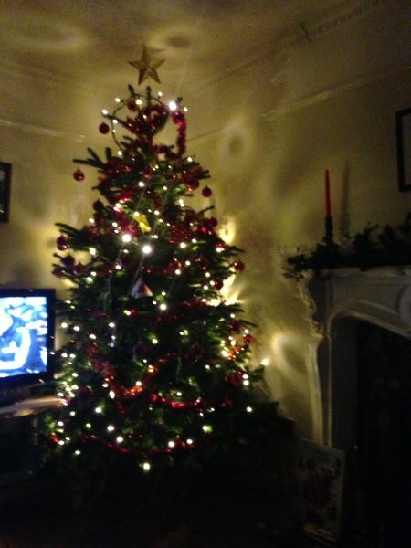 Mumsnetters Christmas trees!