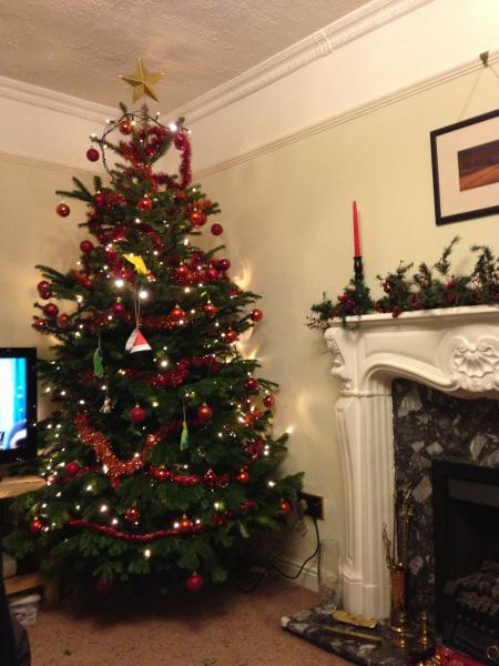 Mumsnetters Christmas trees!