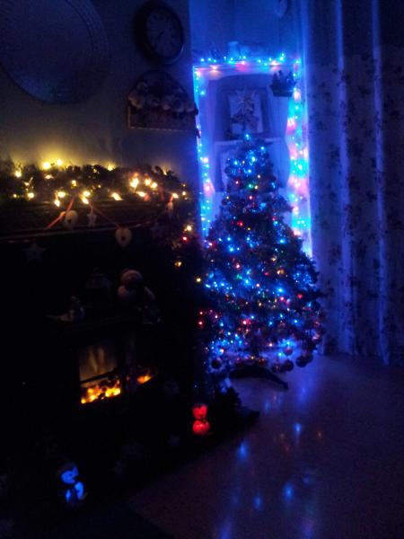 Mumsnetters Christmas trees!