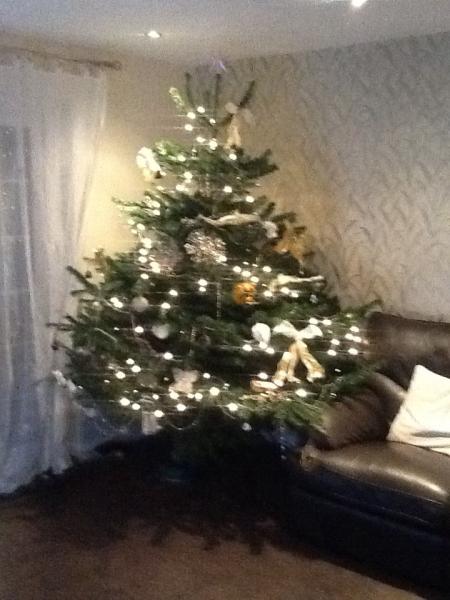 Mumsnetters Christmas trees!