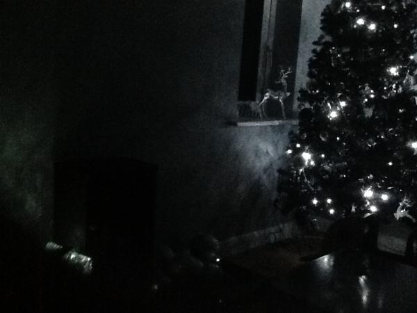 Mumsnetters Christmas trees!