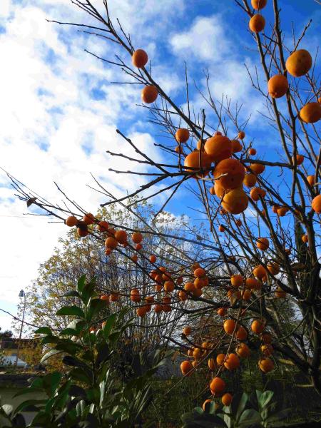 New Blog Posts 2nd Dec ->
