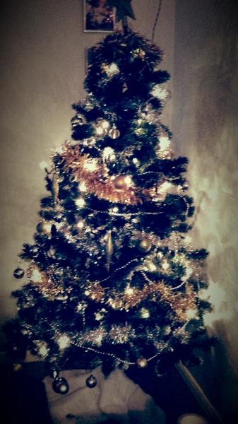 Mumsnetters Christmas trees!
