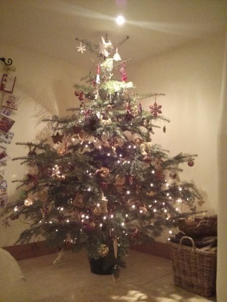 Mumsnetters Christmas trees!
