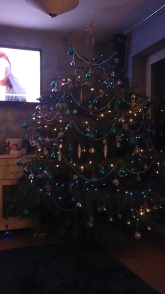 Mumsnetters Christmas trees!