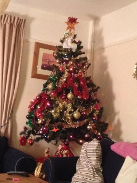 Mumsnetters Christmas trees!