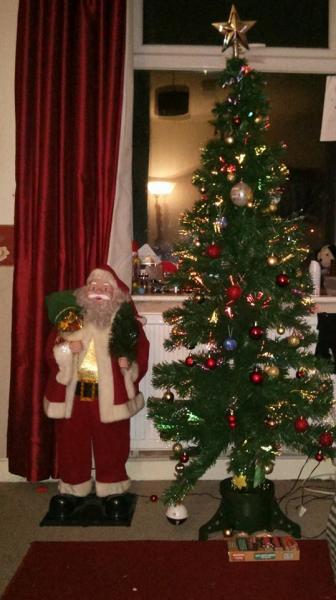 Mumsnetters Christmas trees!