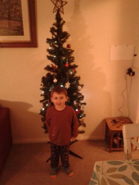 Mumsnetters Christmas trees!