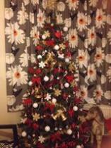 Mumsnetters Christmas trees!