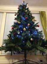 Mumsnetters Christmas trees!