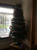 Mumsnetters Christmas trees!