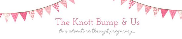 New Blogger - due in April 2014!