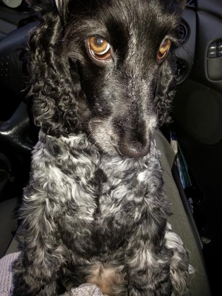 Week 3 Low Carb Bootcamp - Where we stand at the crossroads ...