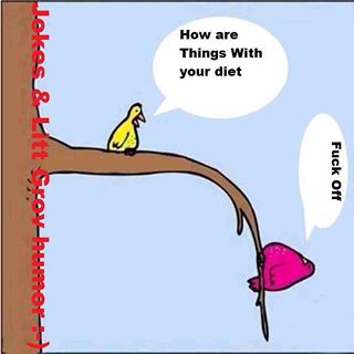 Week 2 - Low Carb Bootcamp Jan 2014