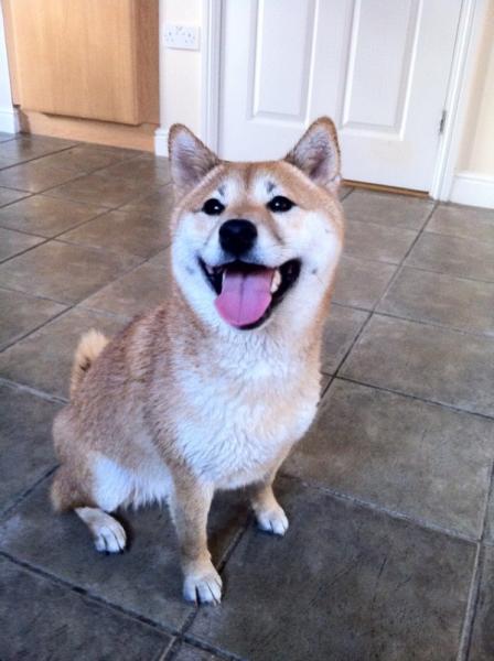 Week 3 Low Carb Bootcamp - Where we stand at the crossroads ...