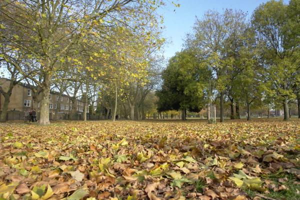 Share your best pictures taken in Tower Hamlets here.