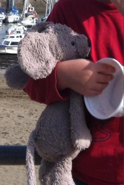 *LOST*Toy Teddy Mouse either Halfords Lichfield or Smyths toy shop in Crown Wharf, Walsall.