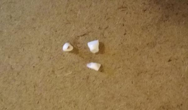 No lies about Tooth-Faries.