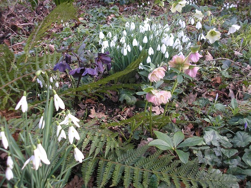 …if winter comes, can Spring be far behind? 2014 beckons us...