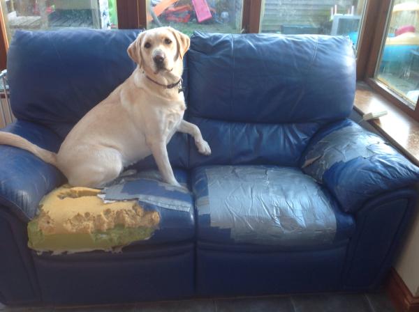 Brand new M&S chair for fifty whole English pence.