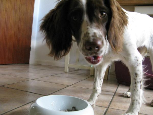 Week 3 Low Carb Bootcamp - Where we stand at the crossroads ...