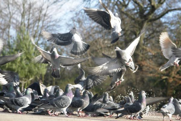 Share your best pictures taken in Tower Hamlets here.