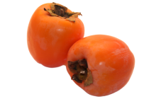 Come and tell me what to do with persimmons