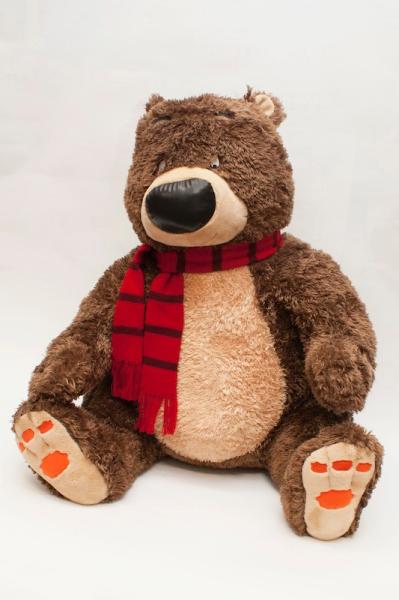 Win a Hugless Douglas bear in our World Book Day costume competition.