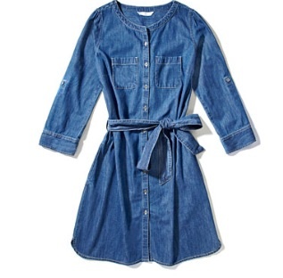 Denim shirt dress