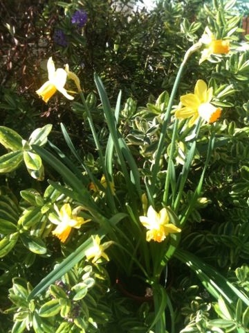 Woolly Hugs : Easter Craft Fundraiser for the fabulous charity MIND.