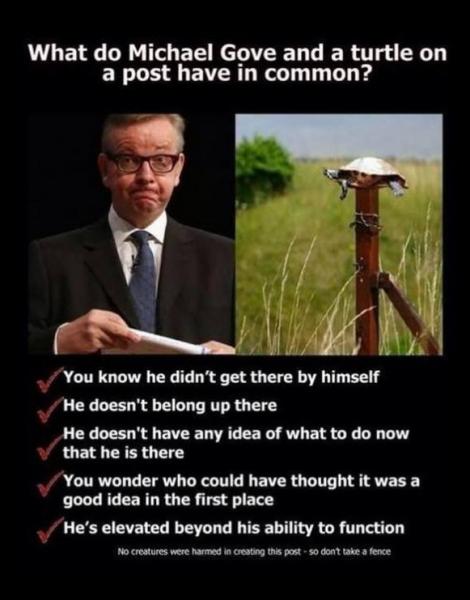 Do you disagree with the Longer school hours proposed?