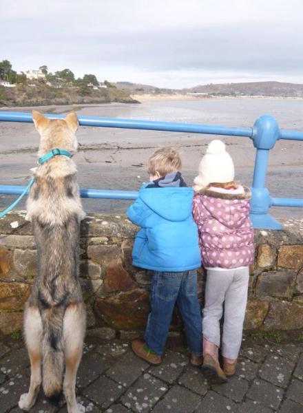 Share your favourite pet pictures for a chance to win £100 John Lewis voucher and copies of Jacqueline Wilson's Paws and Whiskers