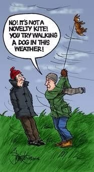 Week 5 Low Carb Bootcamp - Come and Shout Your Shit!