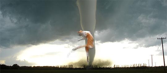 Weather warnings part 3 - February storms.